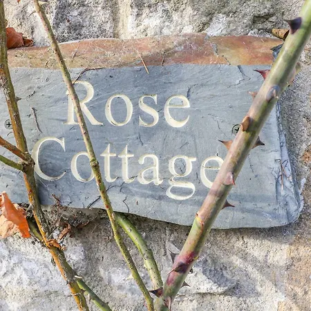 Holiday home Rose *