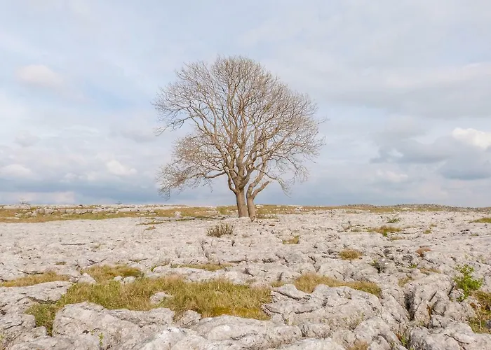 Rose Holiday home Skipton