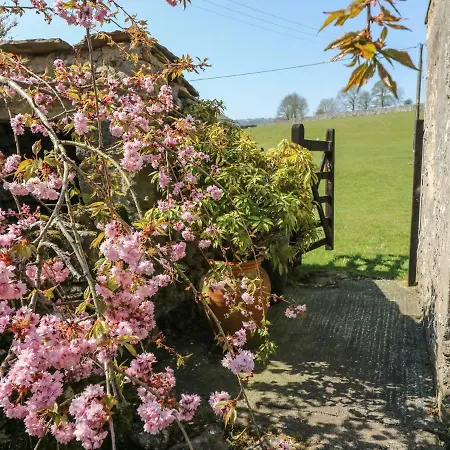 Rose * スキプトン